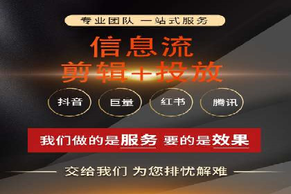 抖音平台：信息流广告案例分析